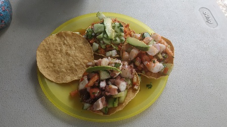 ceviche-tacos