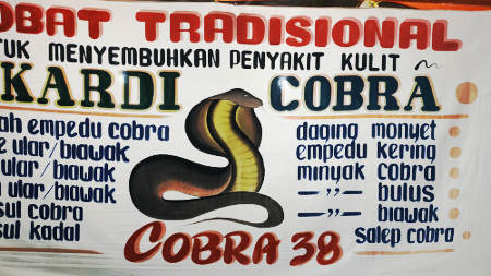 cobra